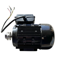 1100W 240V Single Phase Forward & Reverse Tyre Changer Motor
