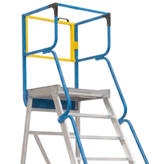 12 Step Access Platform Ladder-Hammerox Industrial