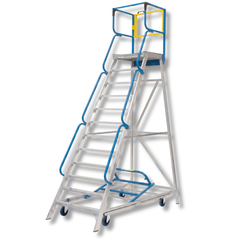 12 Step Access Platform Ladder-Hammerox Industrial