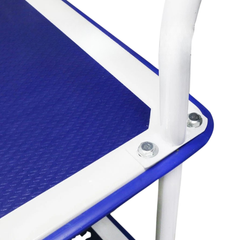 120kg 2 Tier Platform Service Trolley