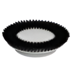 15" Orbital Floor Polisher & Cleaner - Polystar