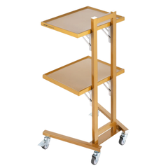 2 Tier Stainless Steel Lab Cart with Wheels - Gold-Hammerox Industrial