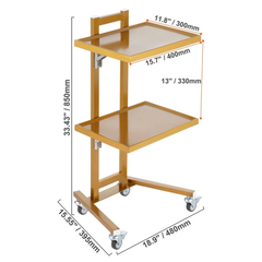 2 Tier Stainless Steel Lab Cart with Wheels - Gold