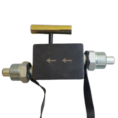 3/8" NPT Hydraulic Load Holding Lock Valve with Quick Fitting