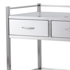 Double Stainless Steel Instrument Trolley with 2 Side by Side Drawers-Hammerox Industrial
